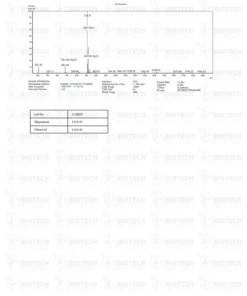 16 image 4 20260116084002997